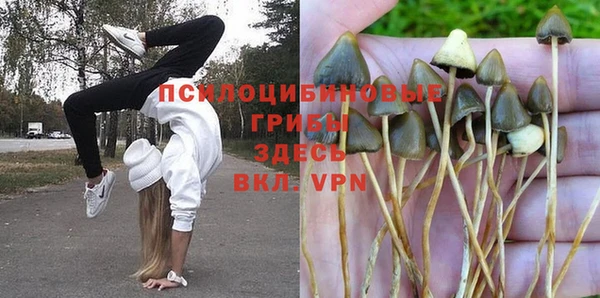 дурь Красноперекопск